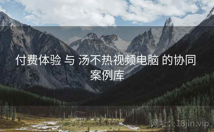 付费体验 与 汤不热视频电脑 的协同 案例库  第1张