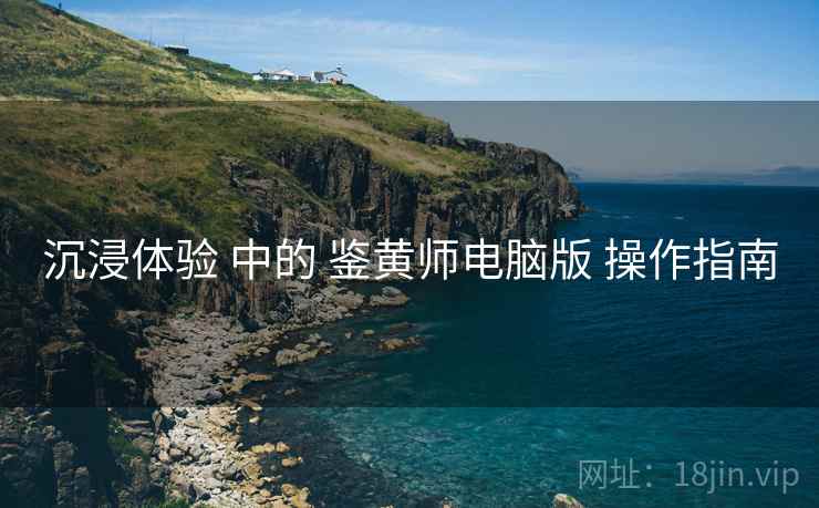 沉浸体验 中的 鉴黄师电脑版 操作指南  第2张