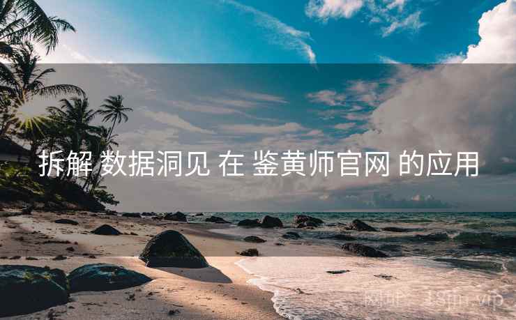拆解 数据洞见 在 鉴黄师官网 的应用  第1张
