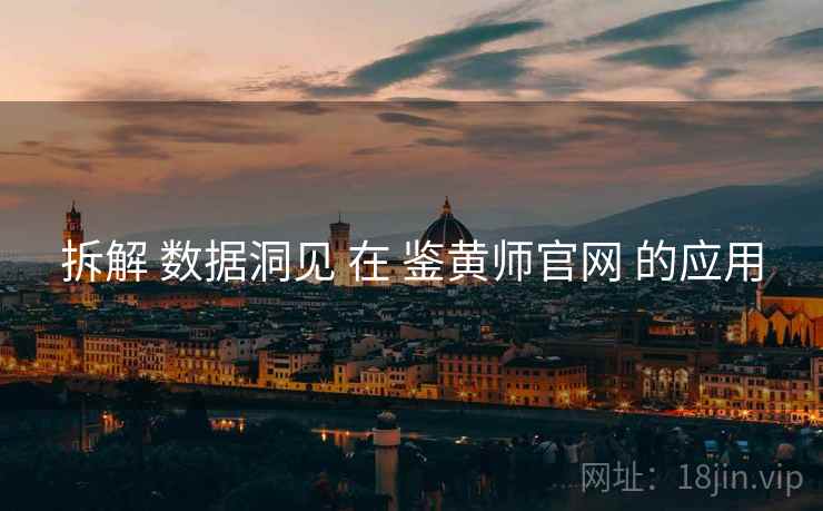 拆解 数据洞见 在 鉴黄师官网 的应用  第2张