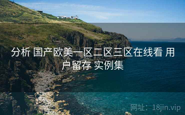 分析 国产欧美一区二区三区在线看 用户留存 实例集  第1张