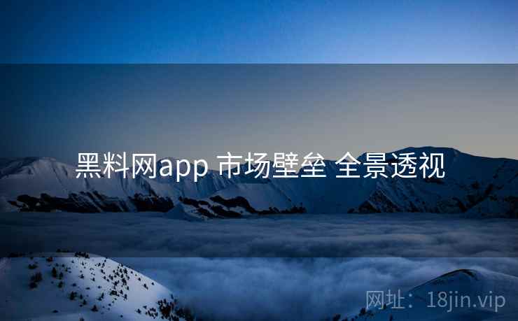黑料网app 市场壁垒 全景透视  第2张