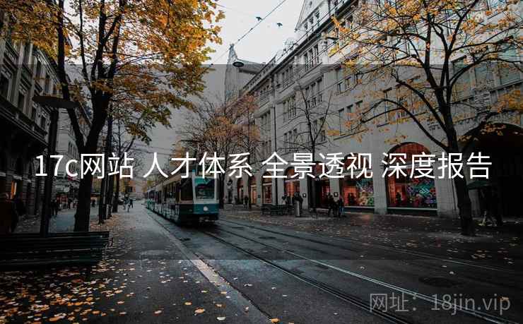 17c网站 人才体系 全景透视 深度报告  第1张