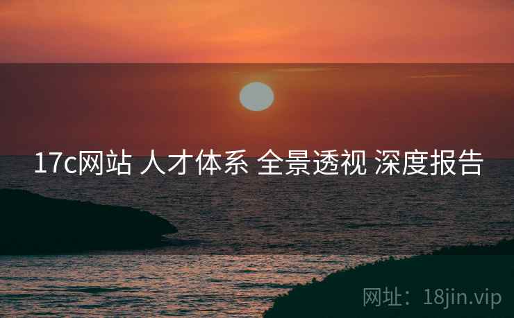17c网站 人才体系 全景透视 深度报告  第2张