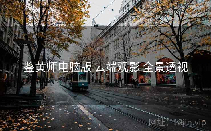 鉴黄师电脑版 云端观影 全景透视  第1张