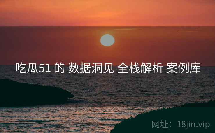 吃瓜51 的 数据洞见 全栈解析 案例库  第2张