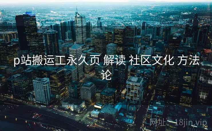 p站搬运工永久页 解读 社区文化 方法论  第2张