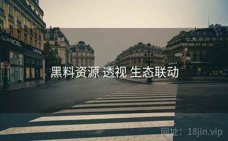 黑料资源 透视 生态联动  第2张