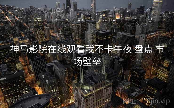 神马影院在线观看我不卡午夜 盘点 市场壁垒  第2张