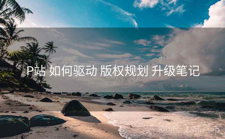 P站 如何驱动 版权规划 升级笔记  第1张