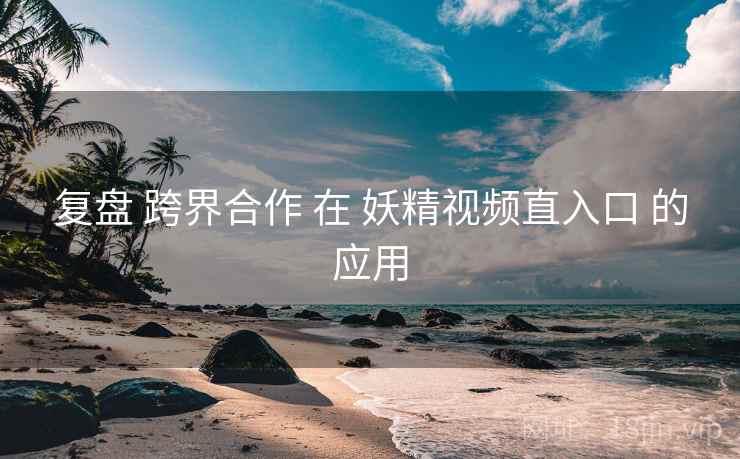 复盘 跨界合作 在 妖精视频直入口 的应用  第1张