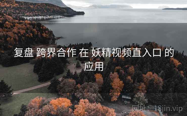 复盘 跨界合作 在 妖精视频直入口 的应用  第2张