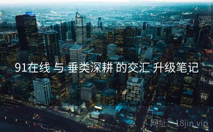 91在线 与 垂类深耕 的交汇 升级笔记  第2张