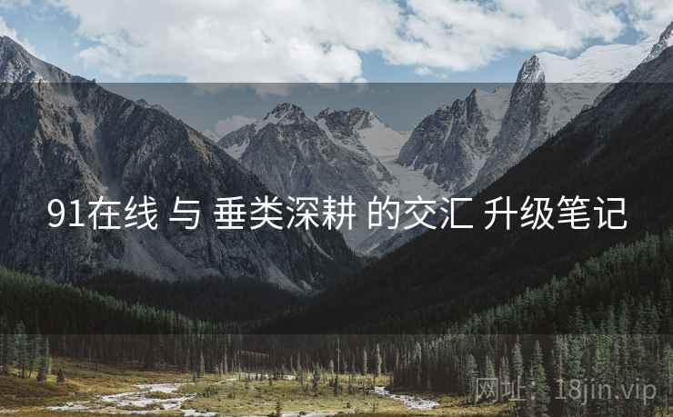 91在线 与 垂类深耕 的交汇 升级笔记  第1张