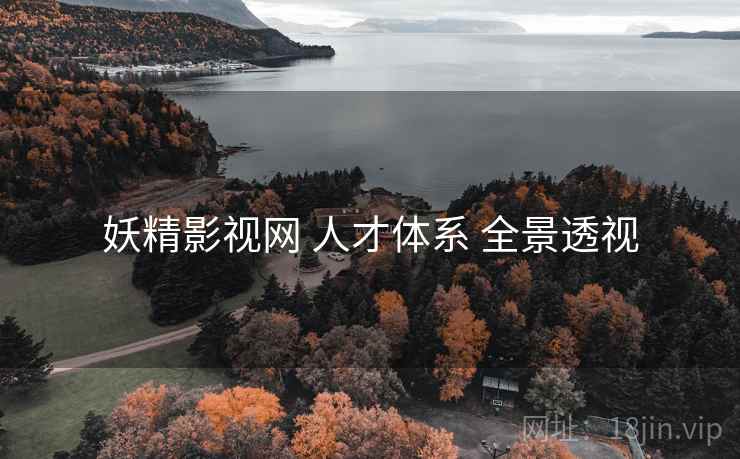 妖精影视网 人才体系 全景透视  第1张