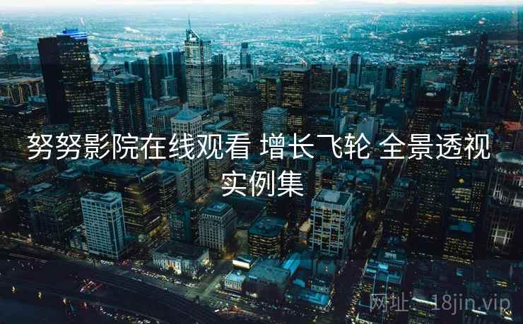 努努影院在线观看 增长飞轮 全景透视 实例集  第2张