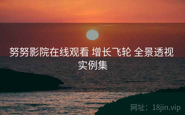 努努影院在线观看 增长飞轮 全景透视 实例集  第1张