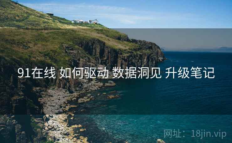 91在线 如何驱动 数据洞见 升级笔记  第1张
