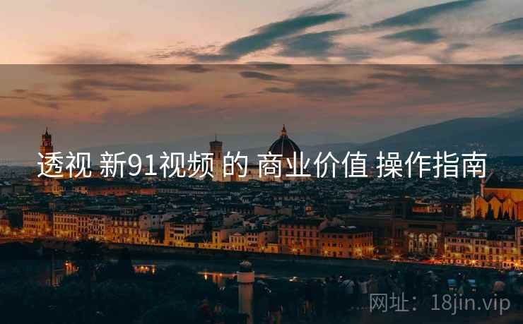 透视 新91视频 的 商业价值 操作指南  第2张
