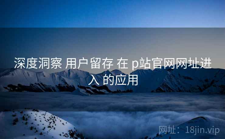 深度洞察 用户留存 在 p站官网网址进入 的应用  第1张