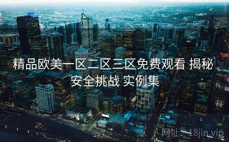 精品欧美一区二区三区免费观看 揭秘 安全挑战 实例集  第1张