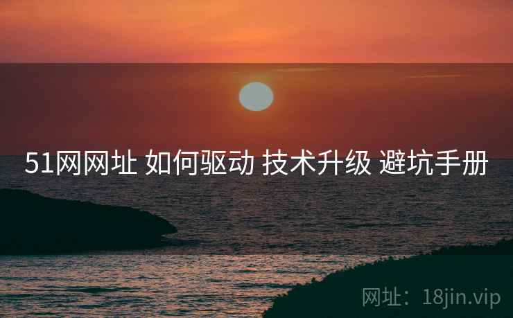 51网网址 如何驱动 技术升级 避坑手册  第1张