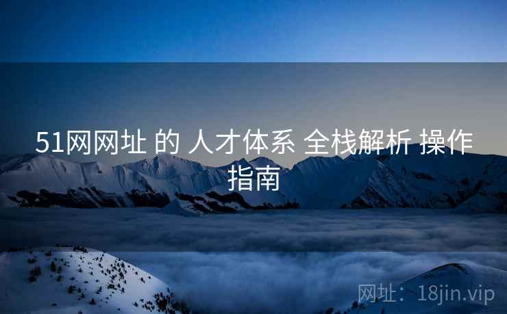 51网网址 的 人才体系 全栈解析 操作指南  第2张