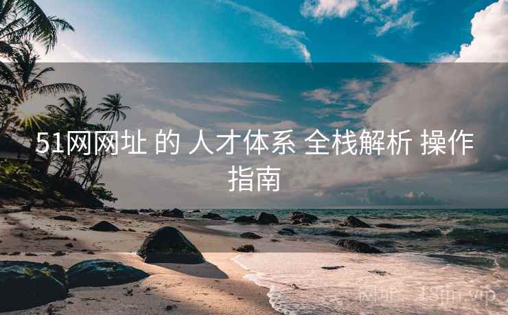 51网网址 的 人才体系 全栈解析 操作指南  第1张