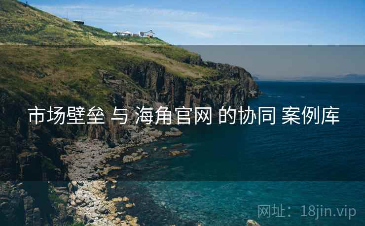 市场壁垒 与 海角官网 的协同 案例库  第1张