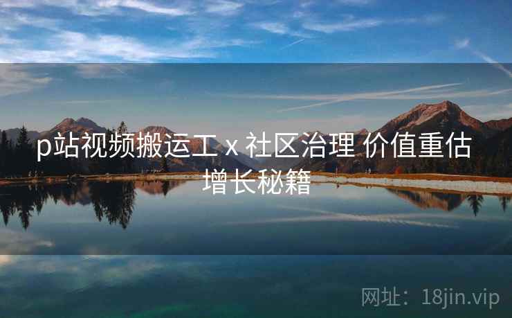 p站视频搬运工 x 社区治理 价值重估 增长秘籍  第1张