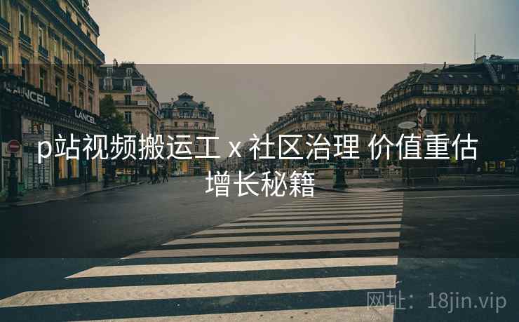 p站视频搬运工 x 社区治理 价值重估 增长秘籍  第2张