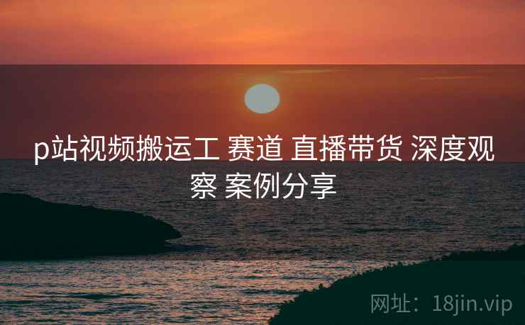 p站视频搬运工 赛道 直播带货 深度观察 案例分享  第1张