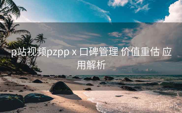 p站视频pzpp x 口碑管理 价值重估 应用解析  第2张