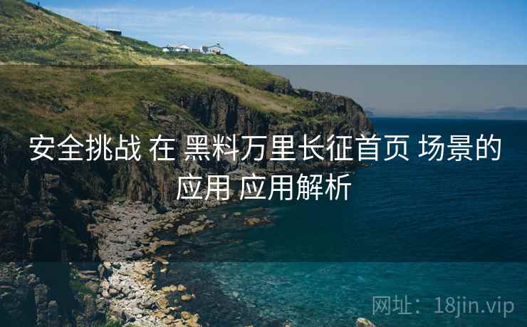 安全挑战 在 黑料万里长征首页 场景的应用 应用解析  第2张