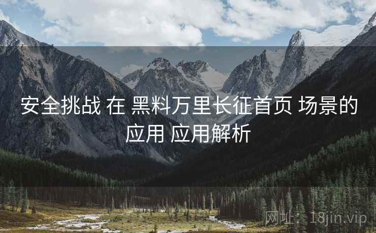 安全挑战 在 黑料万里长征首页 场景的应用 应用解析  第1张