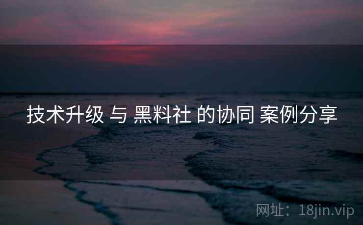 技术升级 与 黑料社 的协同 案例分享  第2张