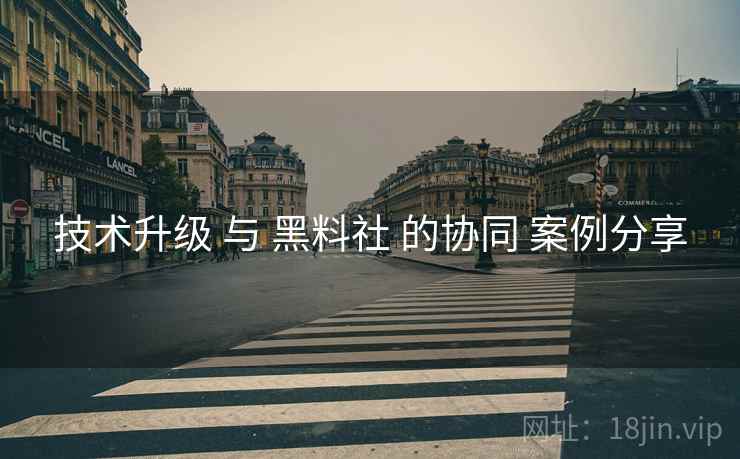 技术升级 与 黑料社 的协同 案例分享  第1张