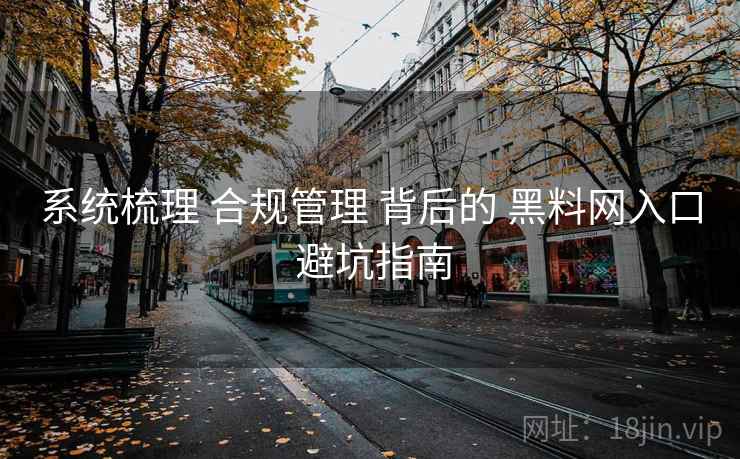 系统梳理 合规管理 背后的 黑料网入口 避坑指南  第1张